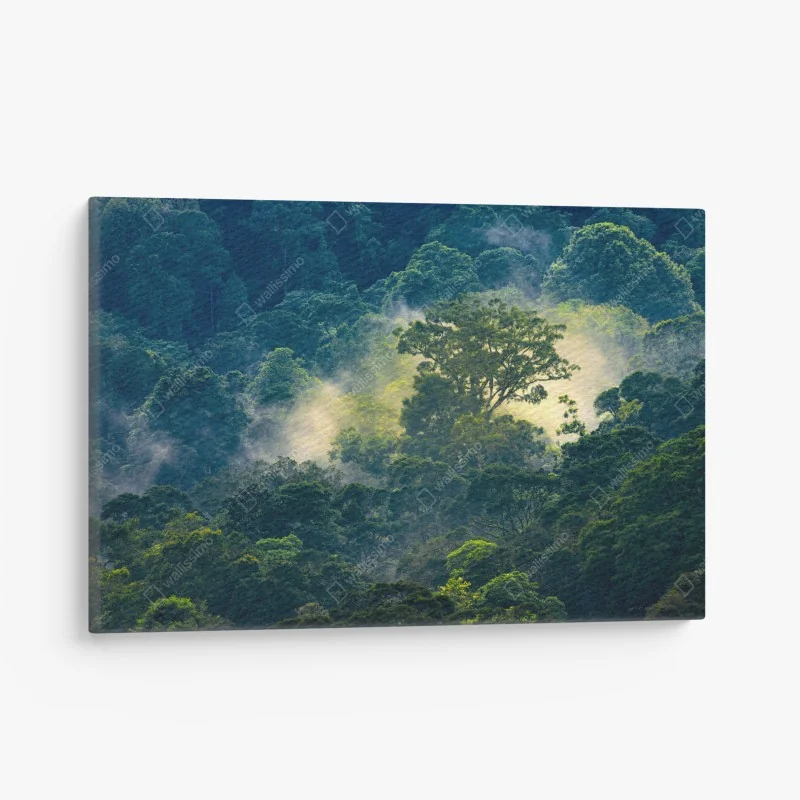 Obraz na płótnie tropikalny zachód słońca z sylwetkami palm, Dominikana – Wallissimo®