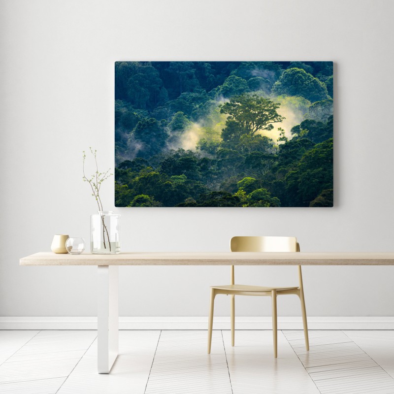 Obraz na płótnie mglisty las deszczowy z koronami drzew – Wallissimo® Obraz na płótnie mglisty las deszczowy z koronami drzew – Wallissimo®