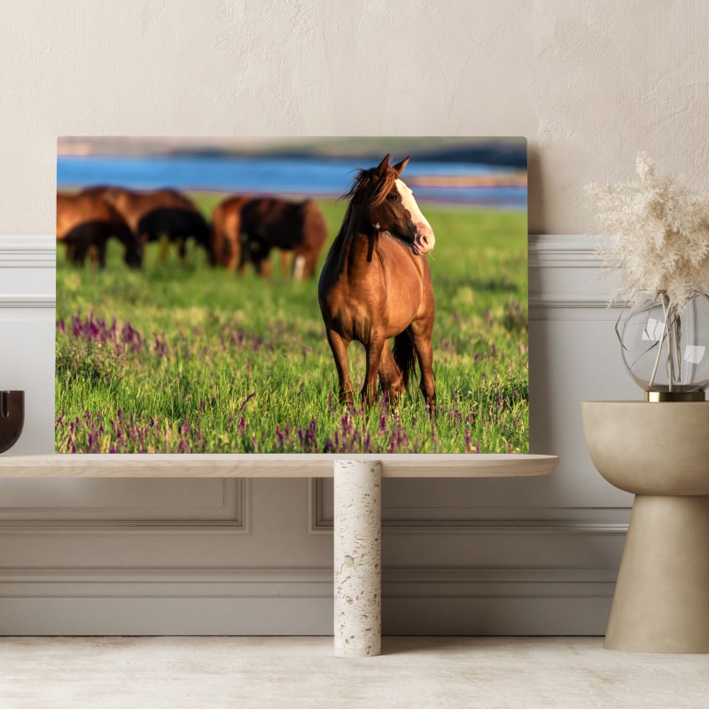 Obraz na płótnie majestatyczny brązowy koń na słonecznej łące – Wallissimo® Obraz na płótnie majestatyczny brązowy koń na słonecznej łące – Wallissimo®