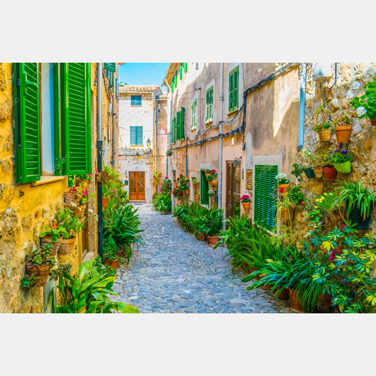 Obraz na płótnie słoneczna uliczka z zielonymi okiennicami – Wallissimo® Obraz na płótnie słoneczna uliczka z zielonymi okiennicami – Wallissimo®