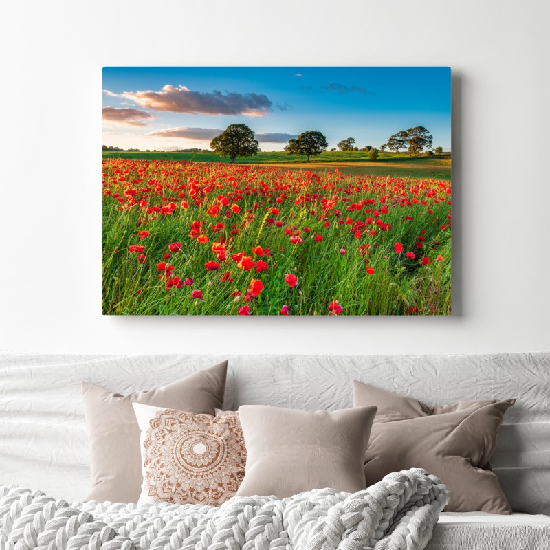 Obraz na płótnie pole czerwonych maków koło Corbridge – Wallissimo® Obraz na płótnie pole czerwonych maków koło Corbridge – Wallissimo®