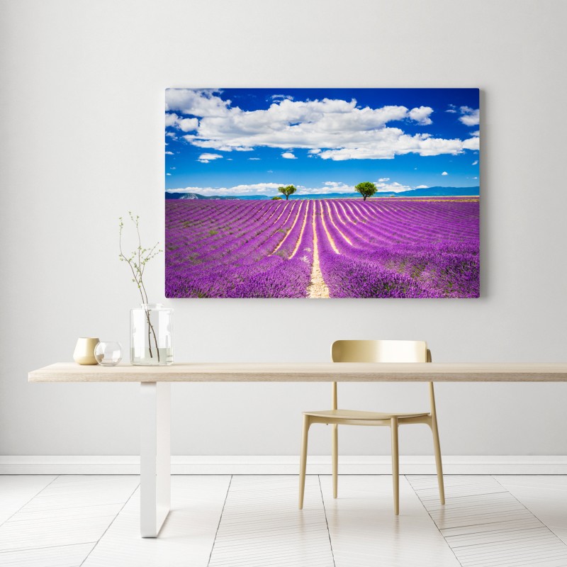 Obraz na płótnie pola lawendy w Prowansji