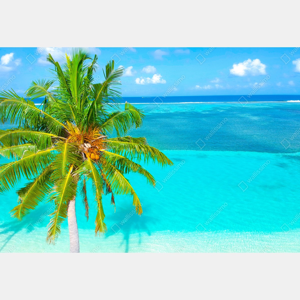 Obraz na płótnie tropikalna turkusowa plaża z palmą – Wallissimo® Obraz na płótnie tropikalna turkusowa plaża z palmą – Wallissimo®