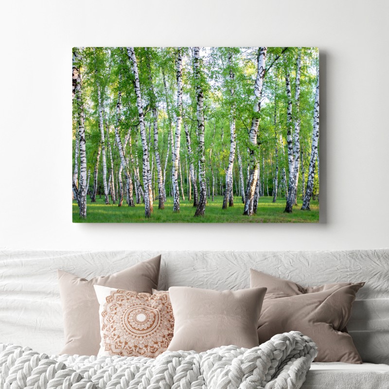 Obraz na płótnie spokojny brzozowy gaj latem – Wallissimo® Obraz na płótnie spokojny brzozowy gaj latem – Wallissimo®