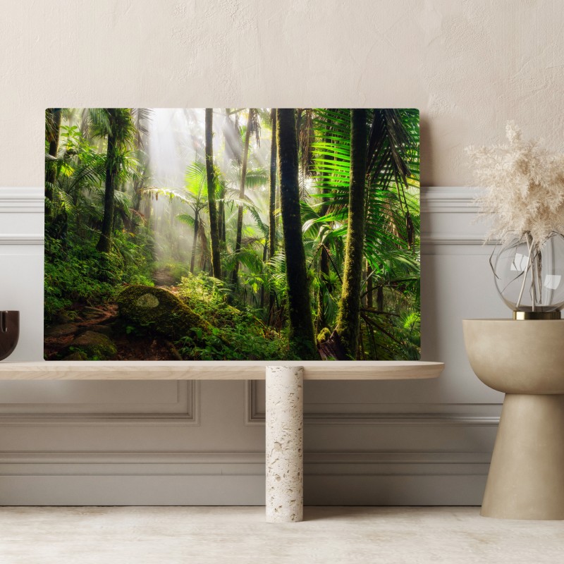 Obraz na płótnie tropikalny las deszczowy z promieniami słońca – Wallissimo® Obraz na płótnie tropikalny las deszczowy z promieniami słońca – Wallissimo®