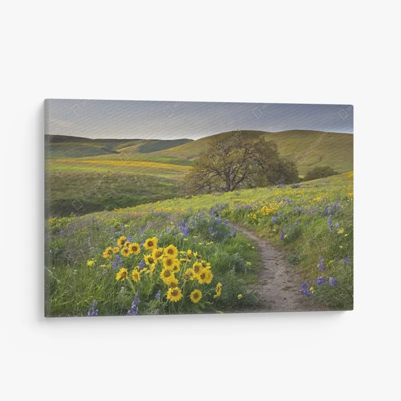 Obraz na płótnie złoty zachód słońca nad Ponte Vecchio, Florencja – Wallissimo®