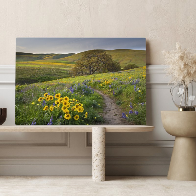 Obraz na płótnie ścieżka przez złotą łąkę z dzikimi kwiatami – Wallissimo® Obraz na płótnie ścieżka przez złotą łąkę z dzikimi kwiatami – Wallissimo®