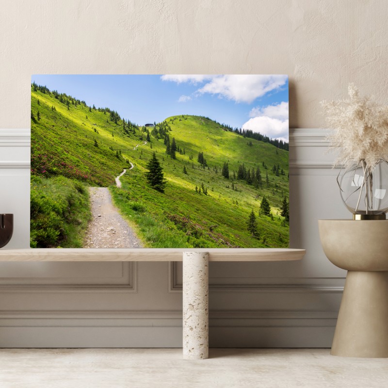 Obraz na płótnie słoneczna górska ścieżka przez zieloną łąkę – Wallissimo® Obraz na płótnie słoneczna górska ścieżka przez zieloną łąkę – Wallissimo®