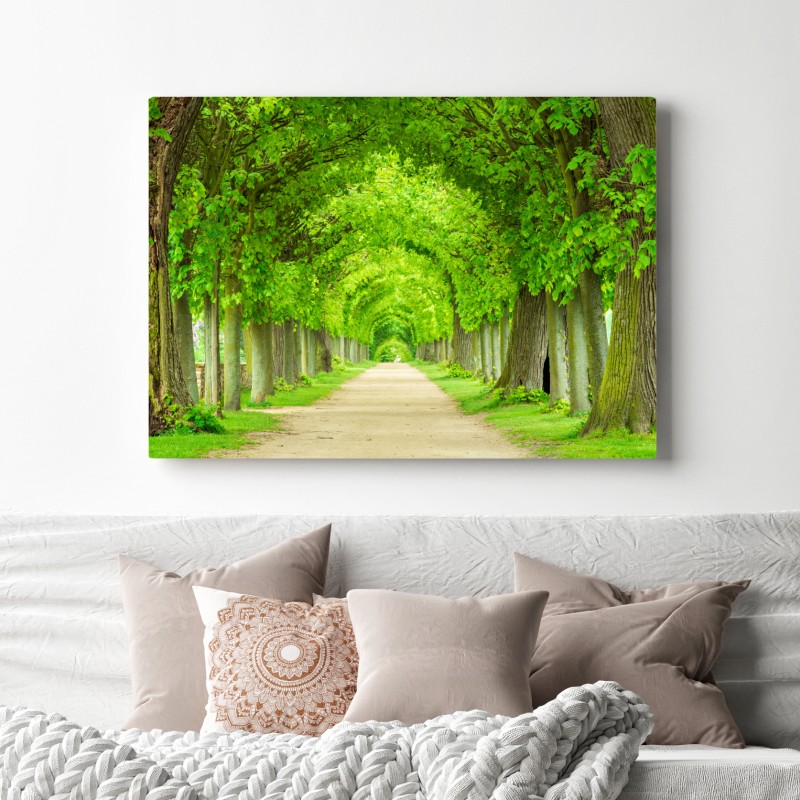 Obraz na płótnie zielony tunel drzew – Wallissimo® Obraz na płótnie zielony tunel drzew – Wallissimo®