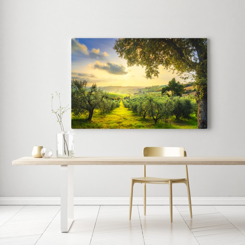 Obraz na płótnie gaj oliwny przy zachodzie słońca w Maremma, Toskania – Wallissimo® Obraz na płótnie gaj oliwny przy zachodzie słońca w Maremma, Toskania – Wallissimo®