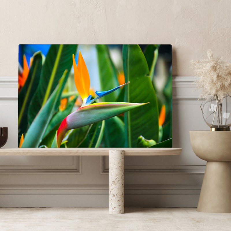 Obraz na płótnie żywy kwiat ptaka rajskiego – Wallissimo®