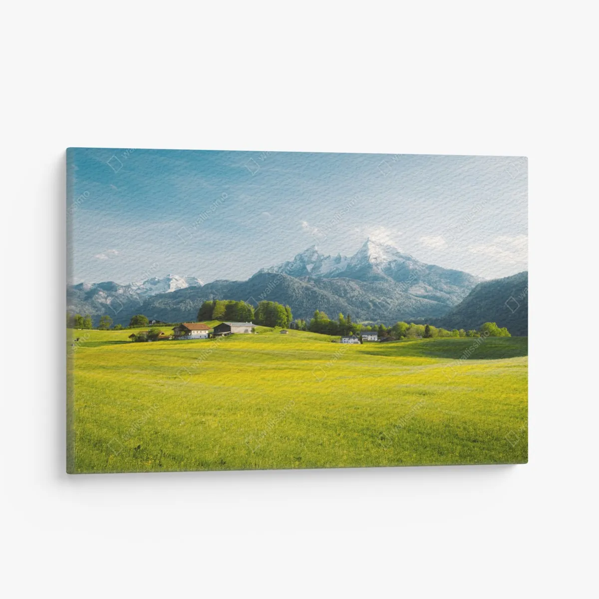 Obraz na płótnie alpejska łąka pod ośnieżonymi szczytami – Wallissimo® Obraz na płótnie alpejska łąka pod ośnieżonymi szczytami – Wallissimo®