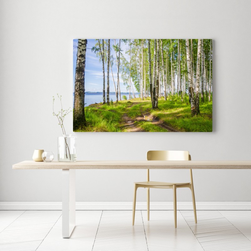 Obraz na płótnie słoneczny zagajnik brzozowy nad wodą – Wallissimo® Obraz na płótnie słoneczny zagajnik brzozowy nad wodą – Wallissimo®