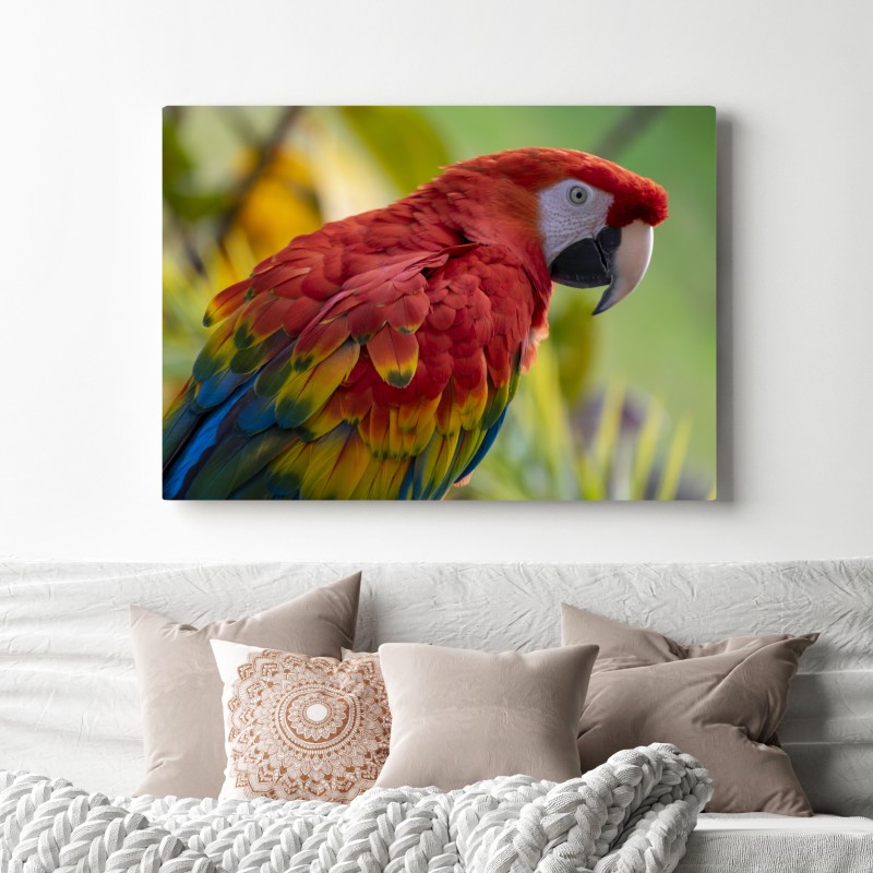 Obraz na płótnie wyrazisty portret ary szkarłatnej – Wallissimo® Obraz na płótnie wyrazisty portret ary szkarłatnej – Wallissimo®
