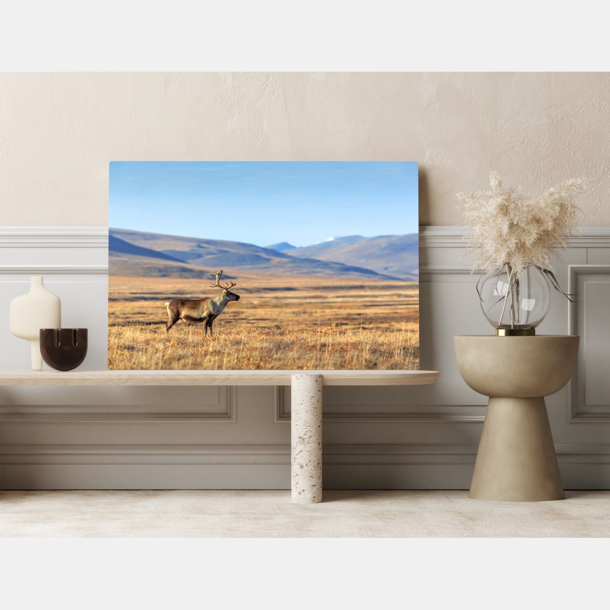 Obraz na płótnie samotny renifer w tundrze w Czukotce – Wallissimo® Obraz na płótnie samotny renifer w tundrze w Czukotce – Wallissimo®