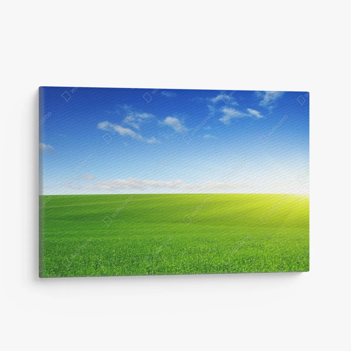 Obraz na płótnie słoneczna zielona łąka o wschodzie – Wallissimo® Obraz na płótnie słoneczna zielona łąka o wschodzie – Wallissimo®