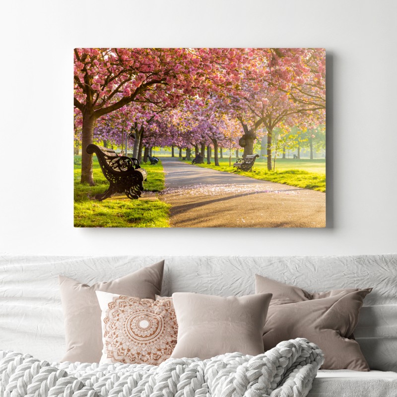 Obraz na płótnie aleja kwitnących wiśni wiosną – Wallissimo® Obraz na płótnie aleja kwitnących wiśni wiosną – Wallissimo®