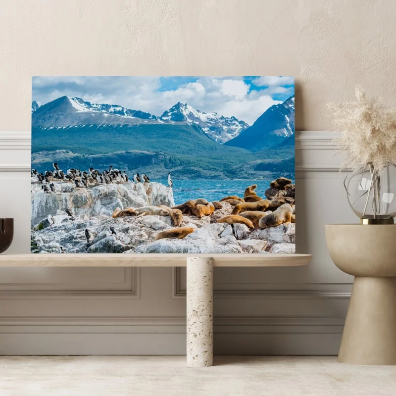 Obraz na płótnie lwy morskie i ptaki na skalistym wybrzeżu – Wallissimo® Obraz na płótnie lwy morskie i ptaki na skalistym wybrzeżu – Wallissimo®