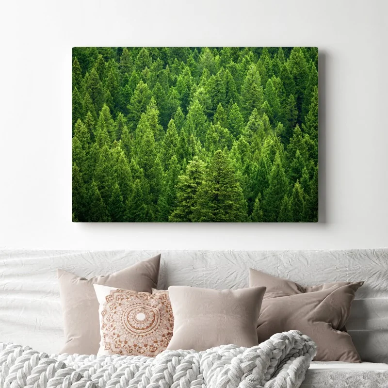 Obraz na płótnie bujna korona lasu sosnowego – Wallissimo® Obraz na płótnie bujna korona lasu sosnowego – Wallissimo®
