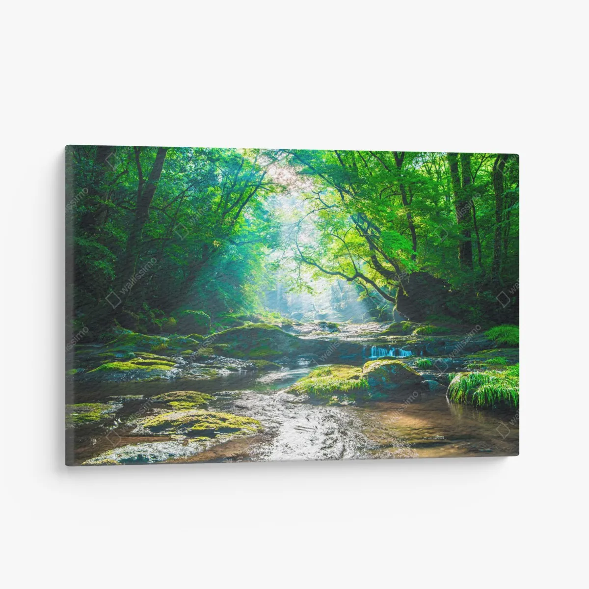 Obraz na płótnie słoneczny leśny strumień z mchem – Wallissimo® Obraz na płótnie słoneczny leśny strumień z mchem – Wallissimo®