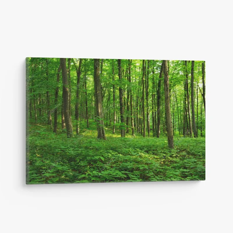 Obraz na płótnie nieskończone czerwone róże – Wallissimo®