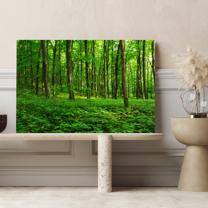Obraz na płótnie słoneczny zielony las wiosną – Wallissimo® Obraz na płótnie słoneczny zielony las wiosną – Wallissimo®