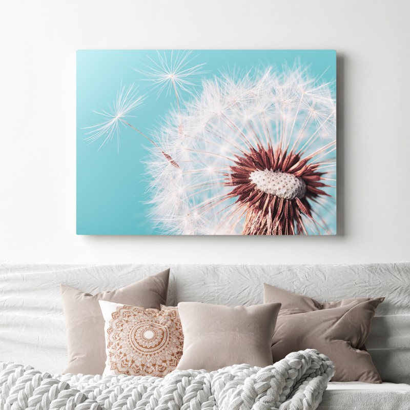 Obraz na płótnie delikatny dmuchawiec na turkusowym tle – Wallissimo® Obraz na płótnie delikatny dmuchawiec na turkusowym tle – Wallissimo®