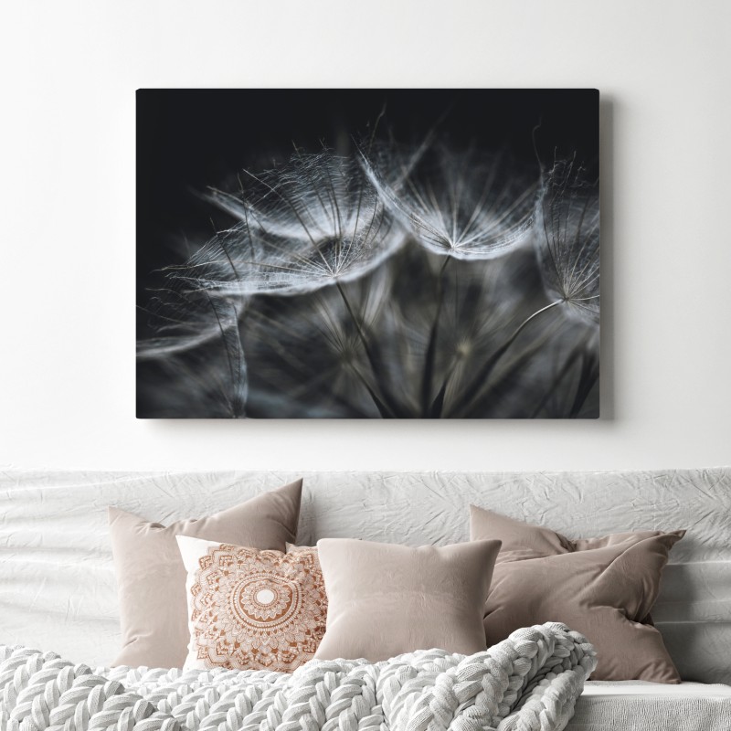 Obraz na płótnie delikatne nasiona mniszka w monochromie – Wallissimo® Obraz na płótnie delikatne nasiona mniszka w monochromie – Wallissimo®