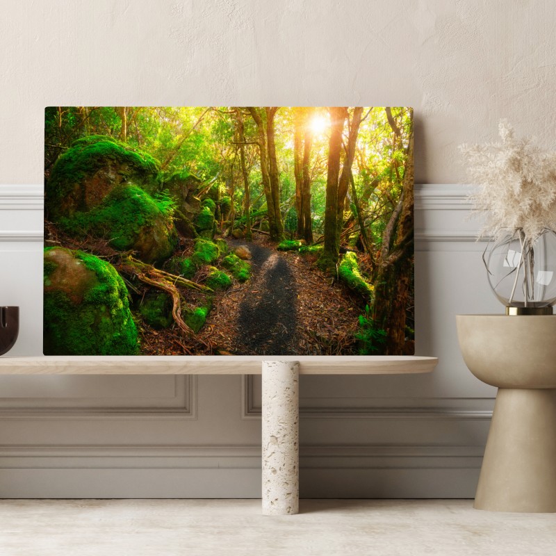 Obraz na płótnie słoneczna ścieżka w lesie deszczowym Półwyspu Tasman, Tasmania – Wallissimo® Obraz na płótnie słoneczna ścieżka w lesie deszczowym Półwyspu Tasman, Tasmania – Wallissimo®