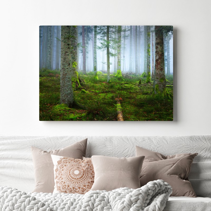 Obraz na płótnie mglisty las sosnowy z Alzacji – Wallissimo® Obraz na płótnie mglisty las sosnowy z Alzacji – Wallissimo®