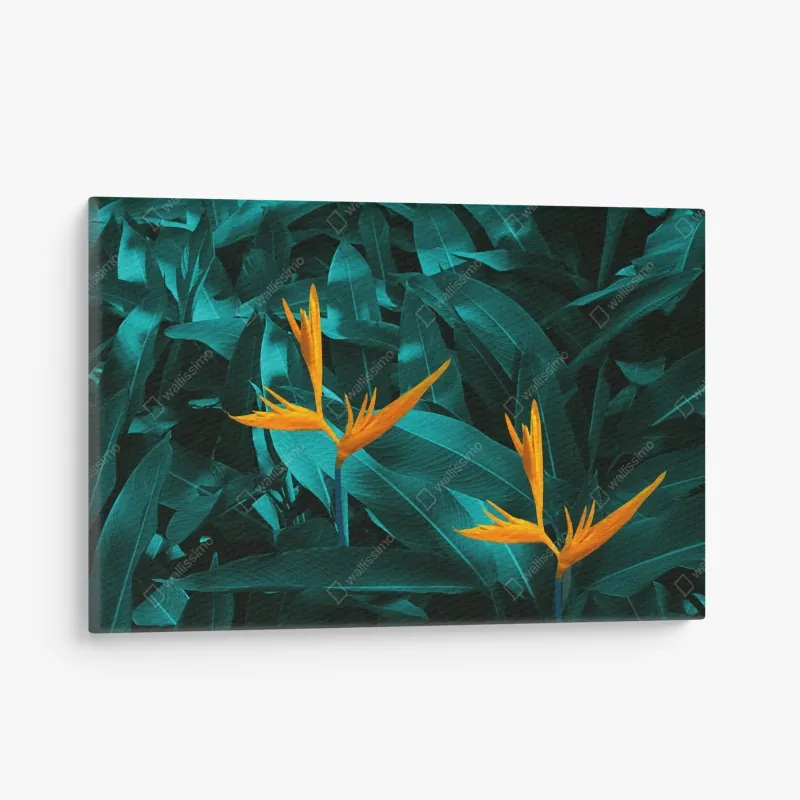 Obraz na płótnie tropikalna strelicja na turkusowych liściach