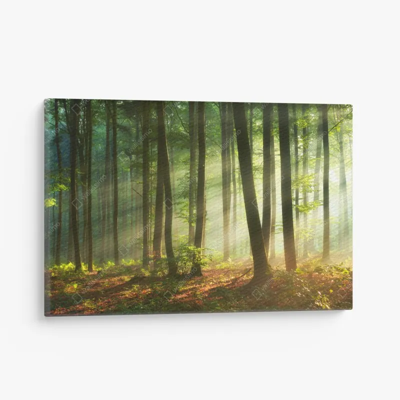 Obraz na płótnie tygrys Syberyjski w biegu – Wallissimo®