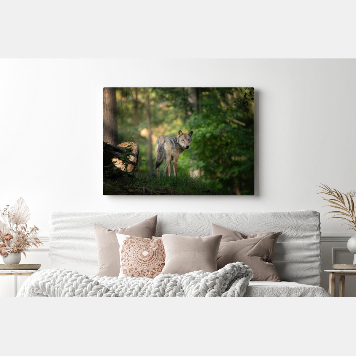 Obraz na płótnie wilk w leśnej polanie – Wallissimo® Obraz na płótnie wilk w leśnej polanie – Wallissimo®