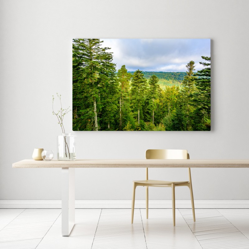 Obraz na płótnie Czarny Las jesienna panorama drzew – Wallissimo® Obraz na płótnie Czarny Las jesienna panorama drzew – Wallissimo®