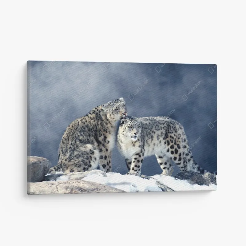 Obraz na płótnie wschód słońca nad łąką pełną fioletowych kwiatów – Wallissimo®