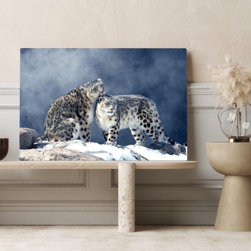 Obraz na płótnie majestatyczne pantery śnieżne w zimie – Wallissimo® Obraz na płótnie majestatyczne pantery śnieżne w zimie – Wallissimo®