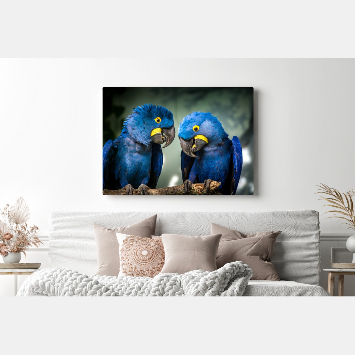 Obraz na płótnie para niebieskich ary - portret z bliska – Wallissimo® Obraz na płótnie para niebieskich ary - portret z bliska – Wallissimo®