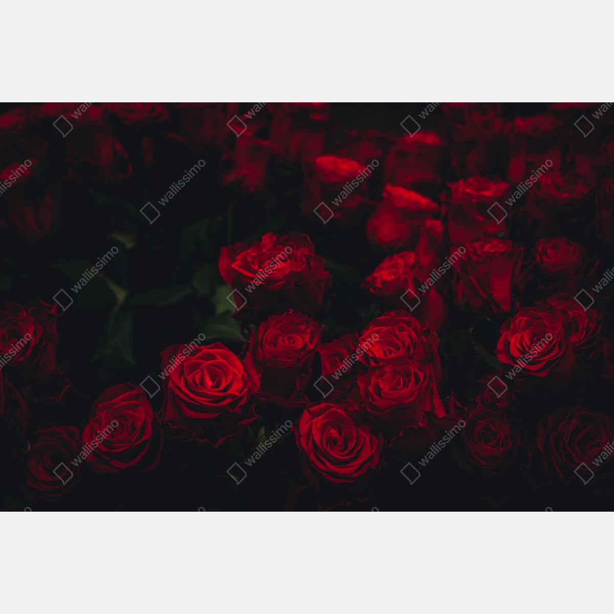 Obraz na płótnie bukiet czerwonych róż – Wallissimo® Obraz na płótnie bukiet czerwonych róż – Wallissimo®