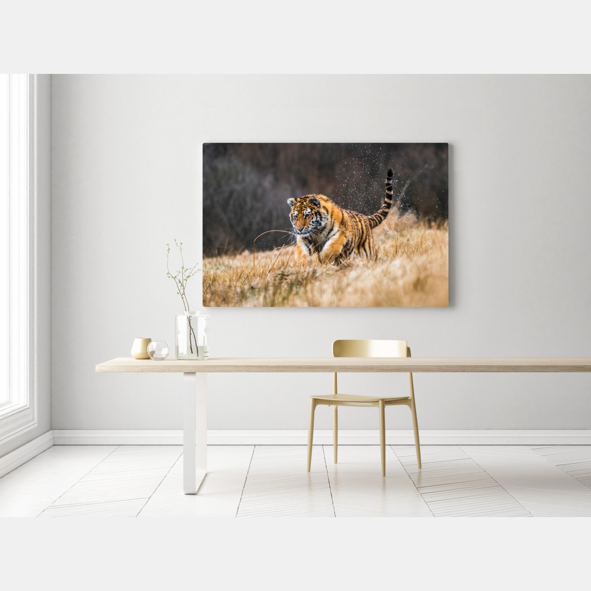 Obraz na płótnie tygrys Syberyjski w biegu – Wallissimo® Obraz na płótnie tygrys Syberyjski w biegu – Wallissimo®