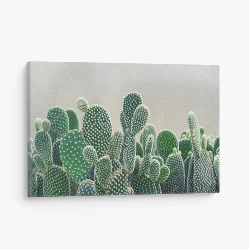 Obraz na płótnie słoneczna śródziemnomorska alejka z bugenwillą – Wallissimo®