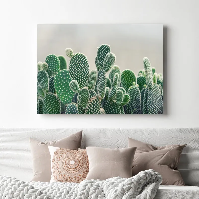 Obraz na płótnie zbliżenie kaktusa opuncji – Wallissimo® Obraz na płótnie zbliżenie kaktusa opuncji – Wallissimo®