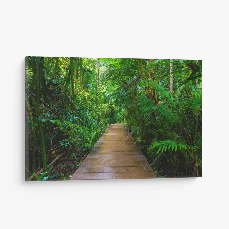 Obraz na płótnie mangrowa kładka w bujnej zielonej dżungli