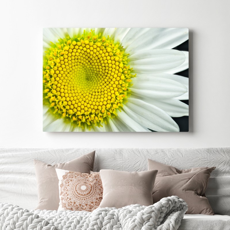 Obraz na płótnie makro stokrotki w spiralnym wzorze – Wallissimo® Obraz na płótnie makro stokrotki w spiralnym wzorze – Wallissimo®