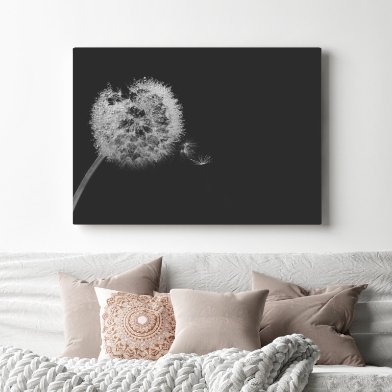 Obraz na płótnie delikatny dmuchawiec w monochromie – Wallissimo® Obraz na płótnie delikatny dmuchawiec w monochromie – Wallissimo®