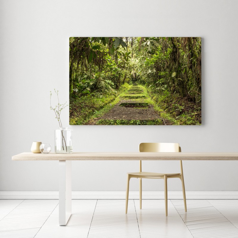Obraz na płótnie ścieżka przez bujną dżunglę – Wallissimo® Obraz na płótnie ścieżka przez bujną dżunglę – Wallissimo®