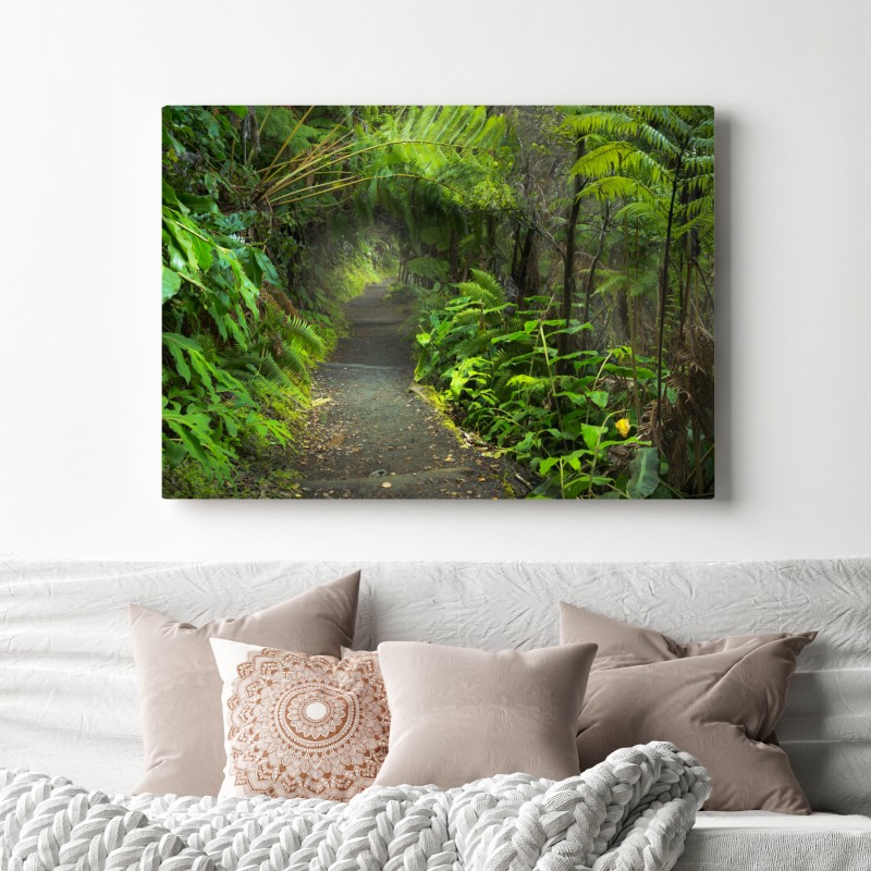 Obraz na płótnie bujny las deszczowy na szlaku Kilauea Iki, Hawaje – Wallissimo® Obraz na płótnie bujny las deszczowy na szlaku Kilauea Iki, Hawaje – Wallissimo®