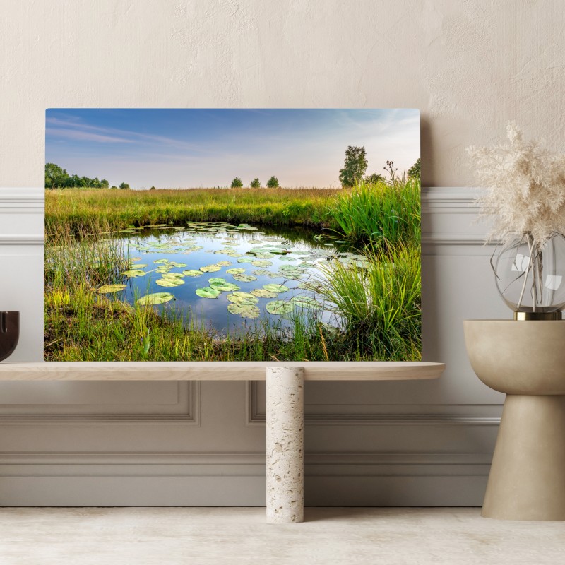 Obraz na płótnie spokojny staw z grążelami na łące