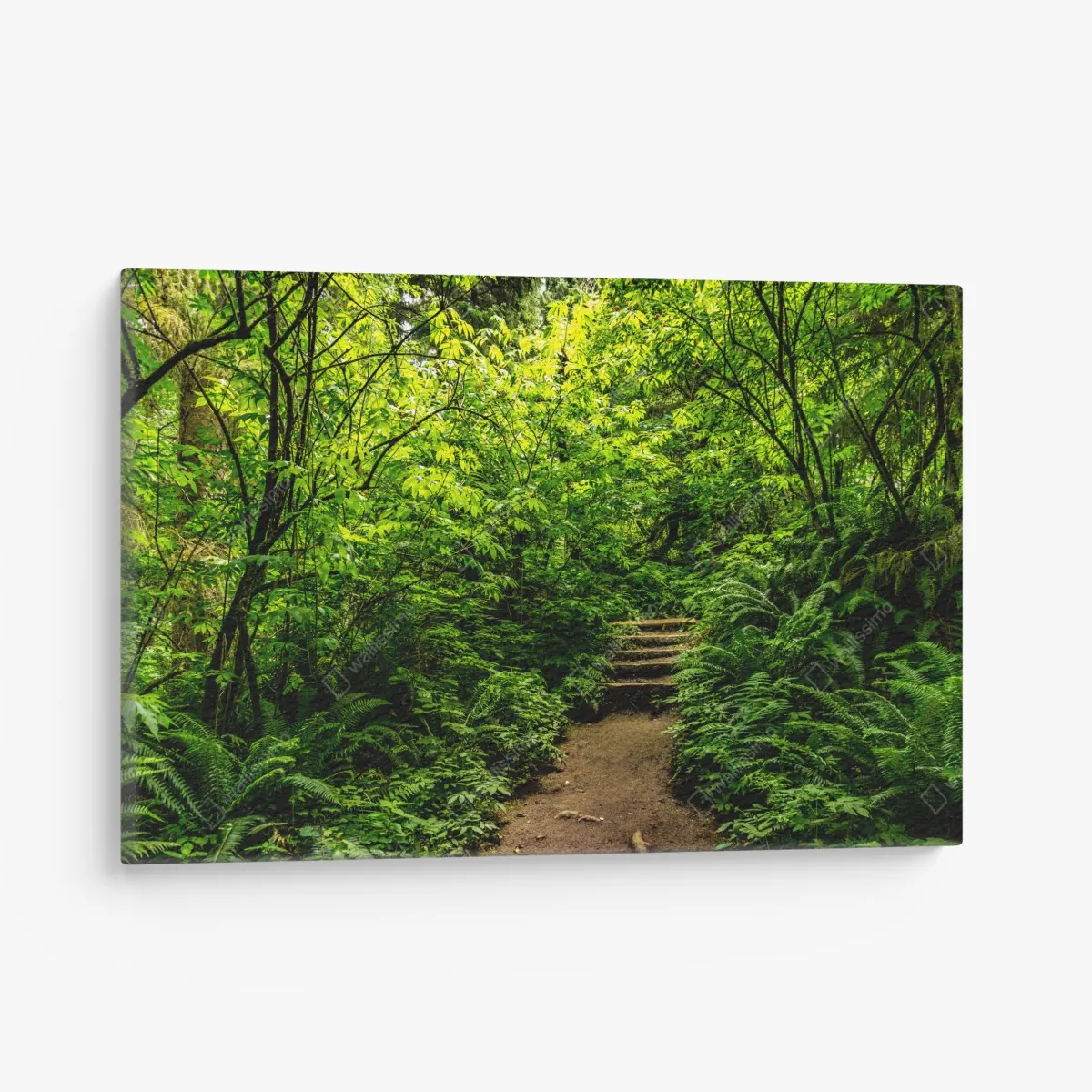 Obraz na płótnie bujna leśna ścieżka – Wallissimo® Obraz na płótnie bujna leśna ścieżka – Wallissimo®