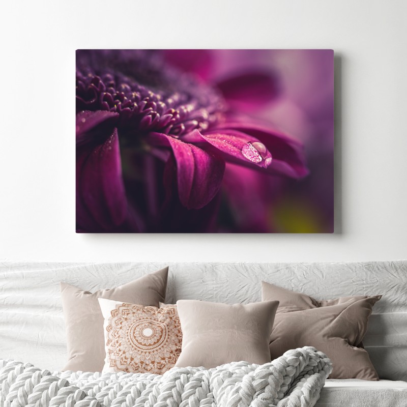 Obraz na płótnie fioletowy makro kwiat z kroplą rosy – Wallissimo® Obraz na płótnie fioletowy makro kwiat z kroplą rosy – Wallissimo®