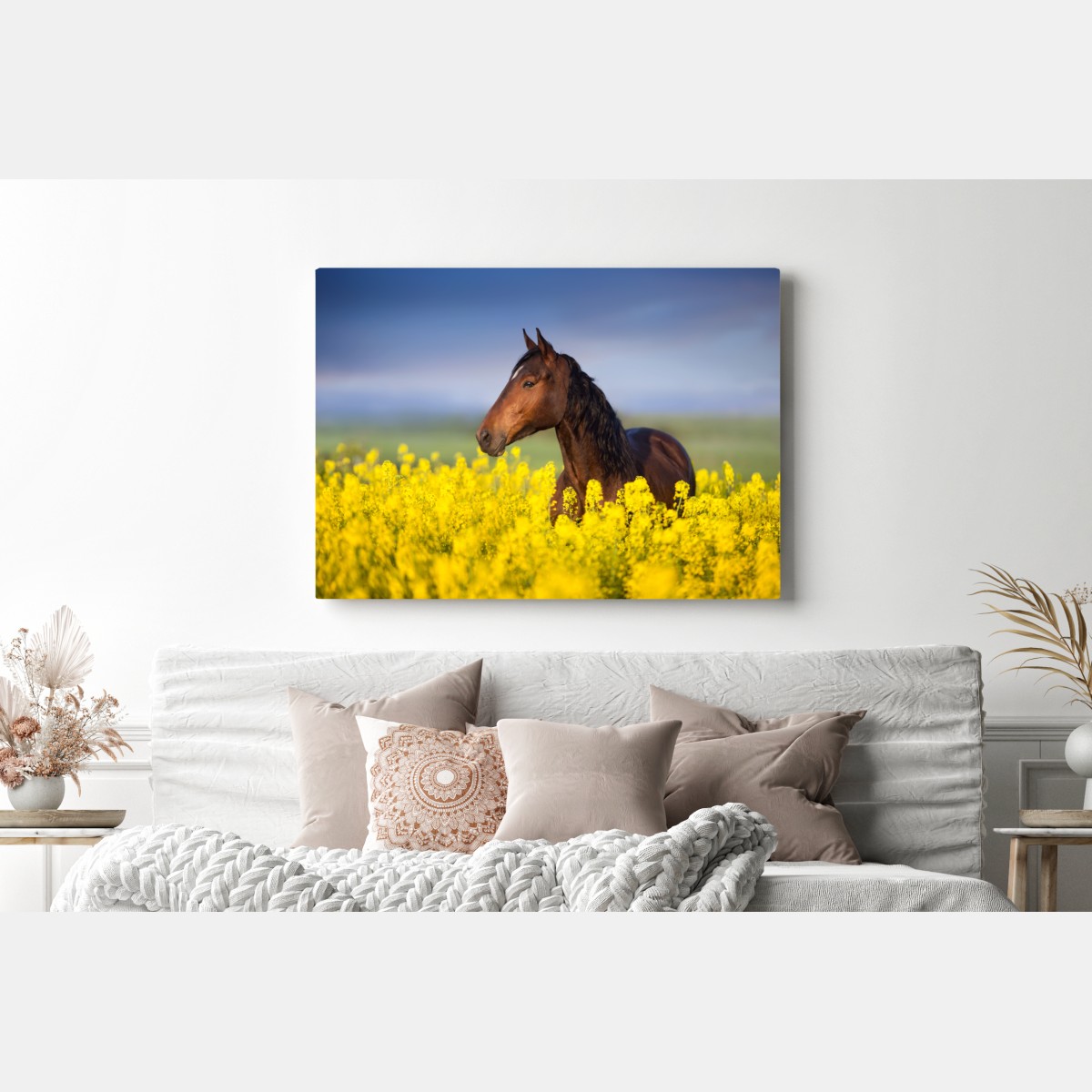 Obraz na płótnie gniady koń na polu rzepaku – Wallissimo® Obraz na płótnie gniady koń na polu rzepaku – Wallissimo®